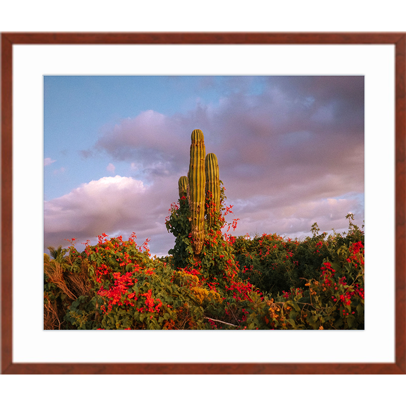 Flora Cactus Cinnamon Frame Print.png