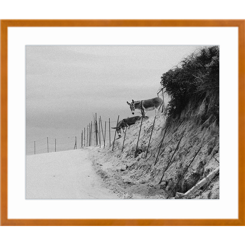 Watchers Maple Frame Print.png