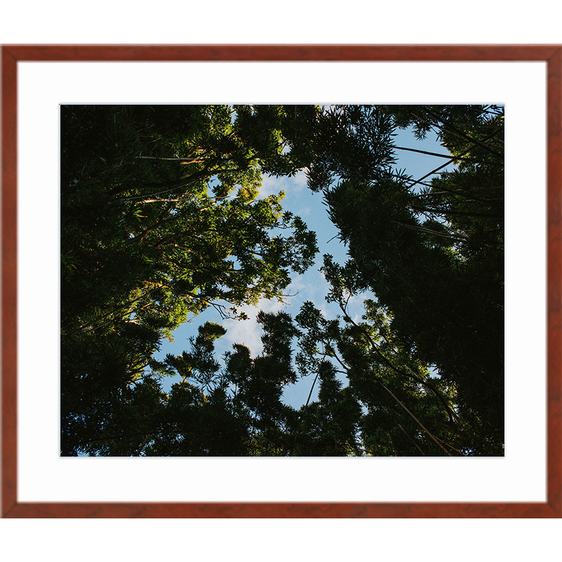 Look Up Cinnamon Frame Print.png