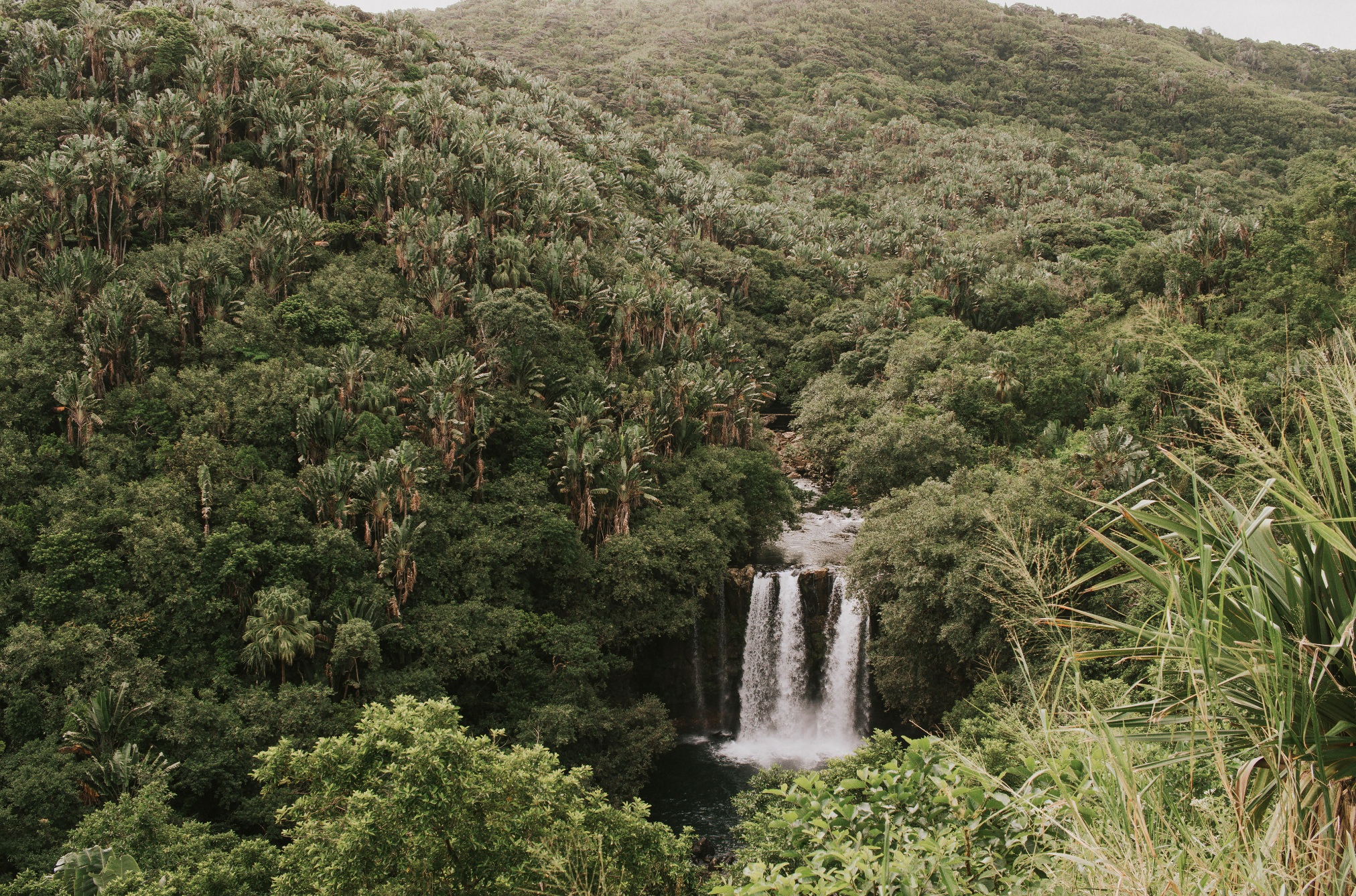 Middle of Mauritius - small.png