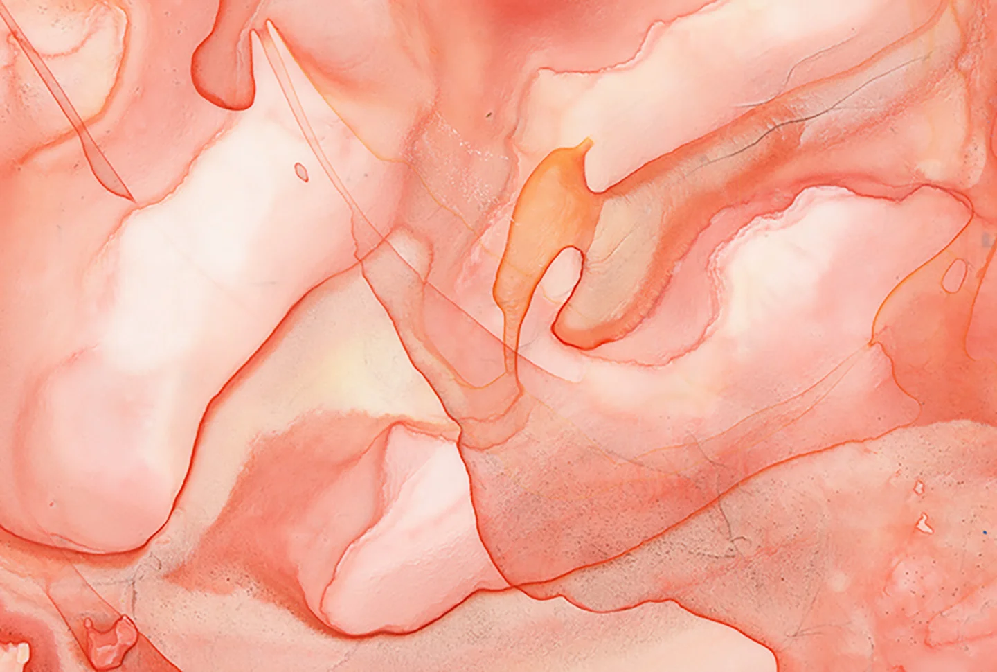 Peach Passal