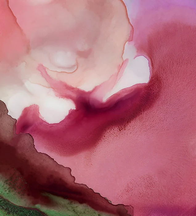 PINK CLOUD