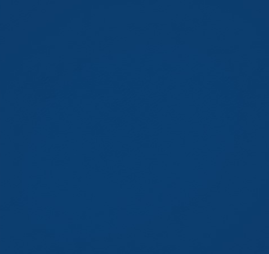 banner color dark.png