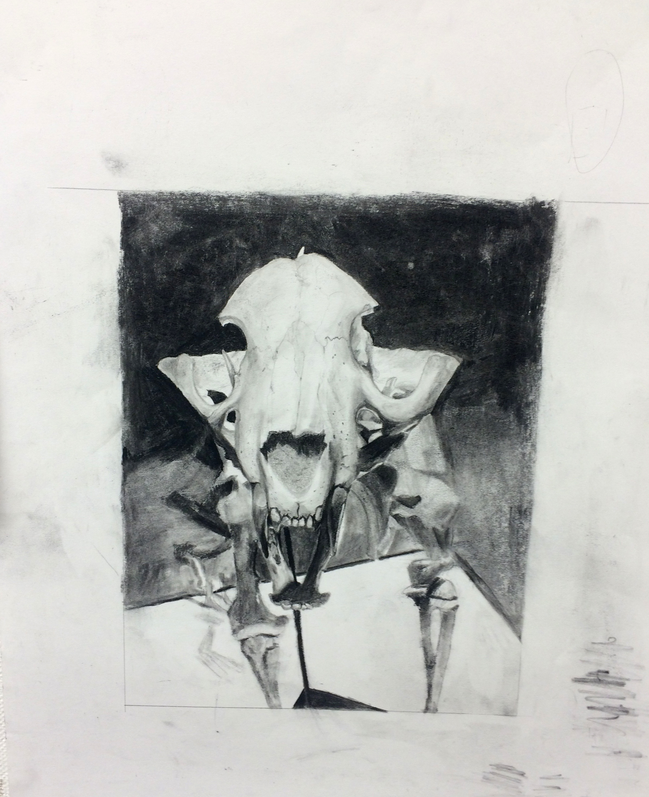 Drawing I , Autumn 2015, figure ground relationships, charcoal paper, 24" x 18"