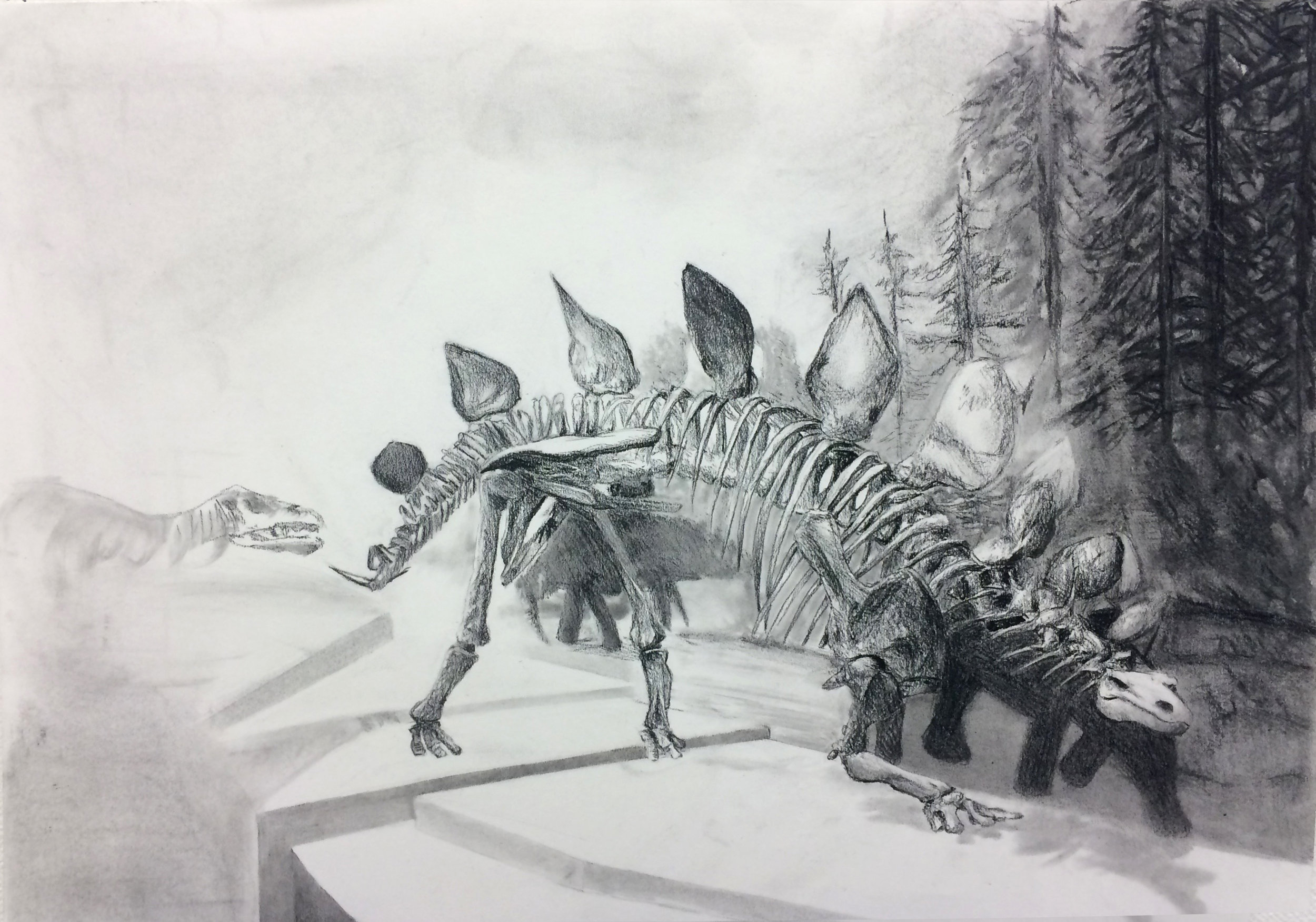 Drawing I , Winter 2016, atmospheric perspective, charcoal on paper, 18" x 24"