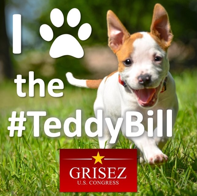 teddybill1.jpg