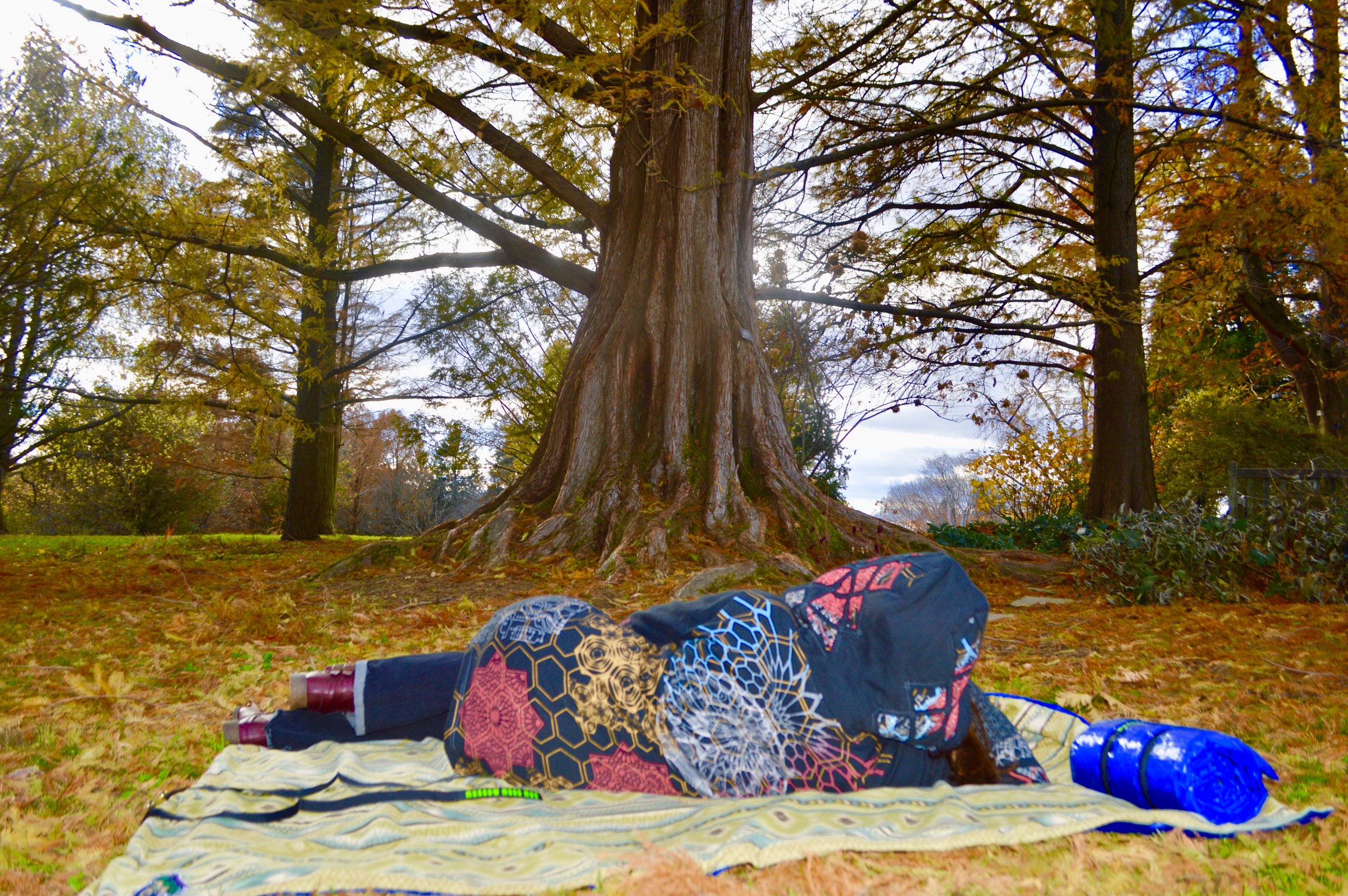 Mellowing out on the Tree Hugger Mat soaking in the beauty