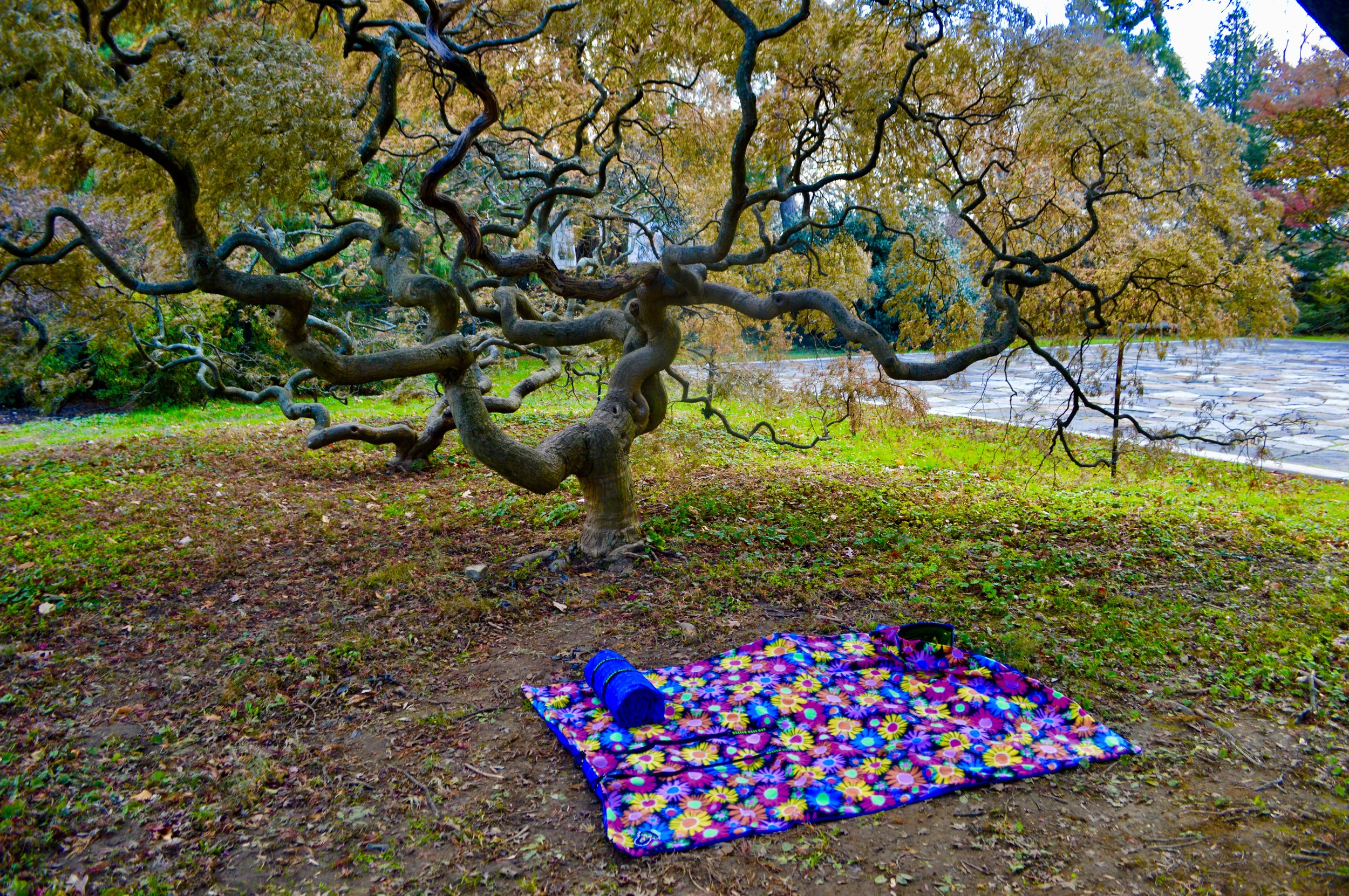 Flower Power Mellow Mood Mat