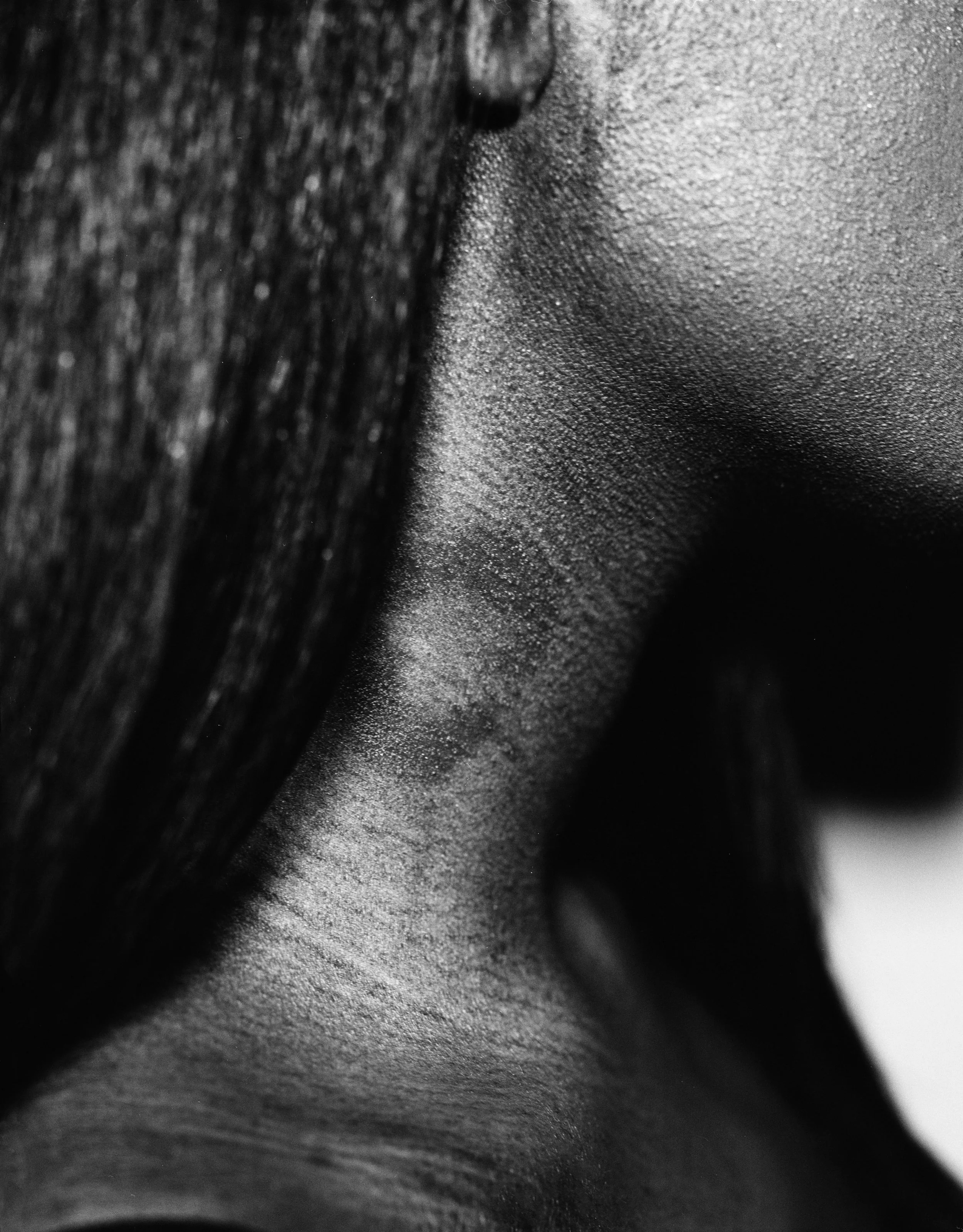 tay 005 copy copy.jpg