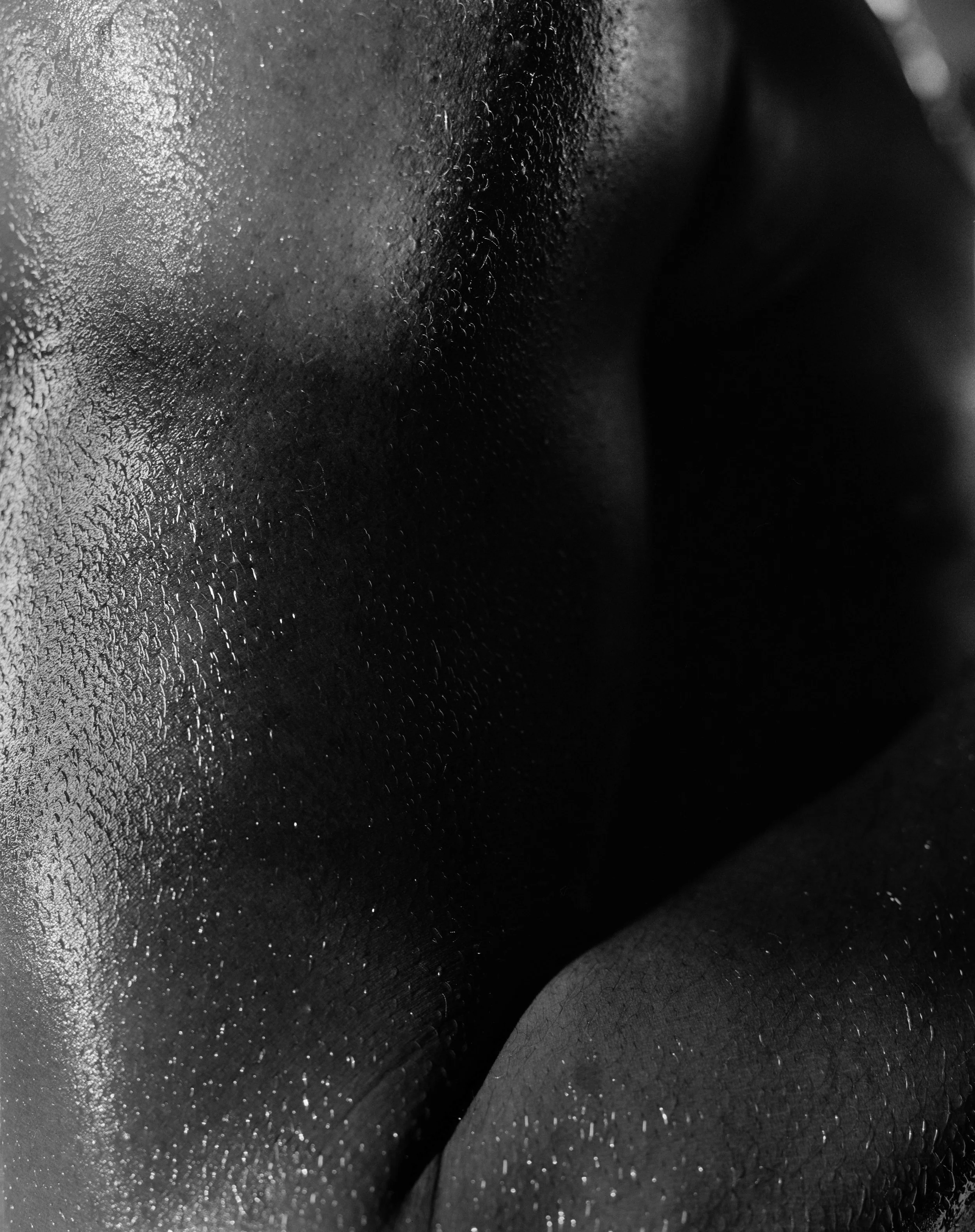 Brandon 004 copy.jpg