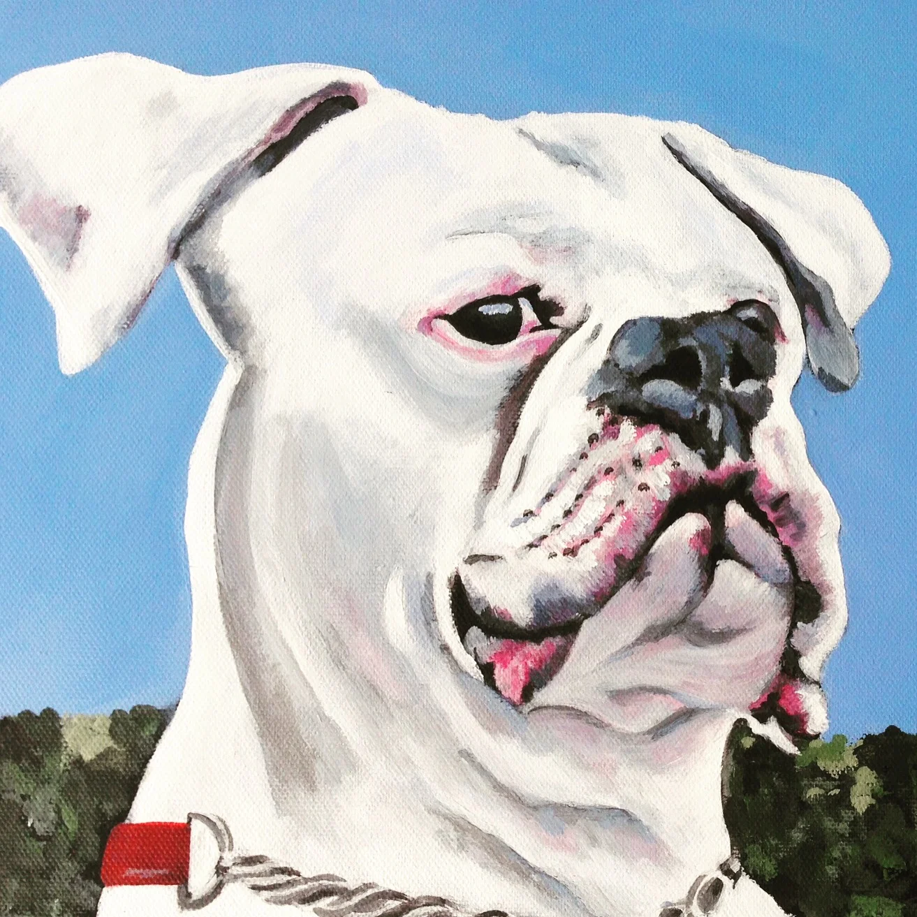 Bulldog on a blue and green background