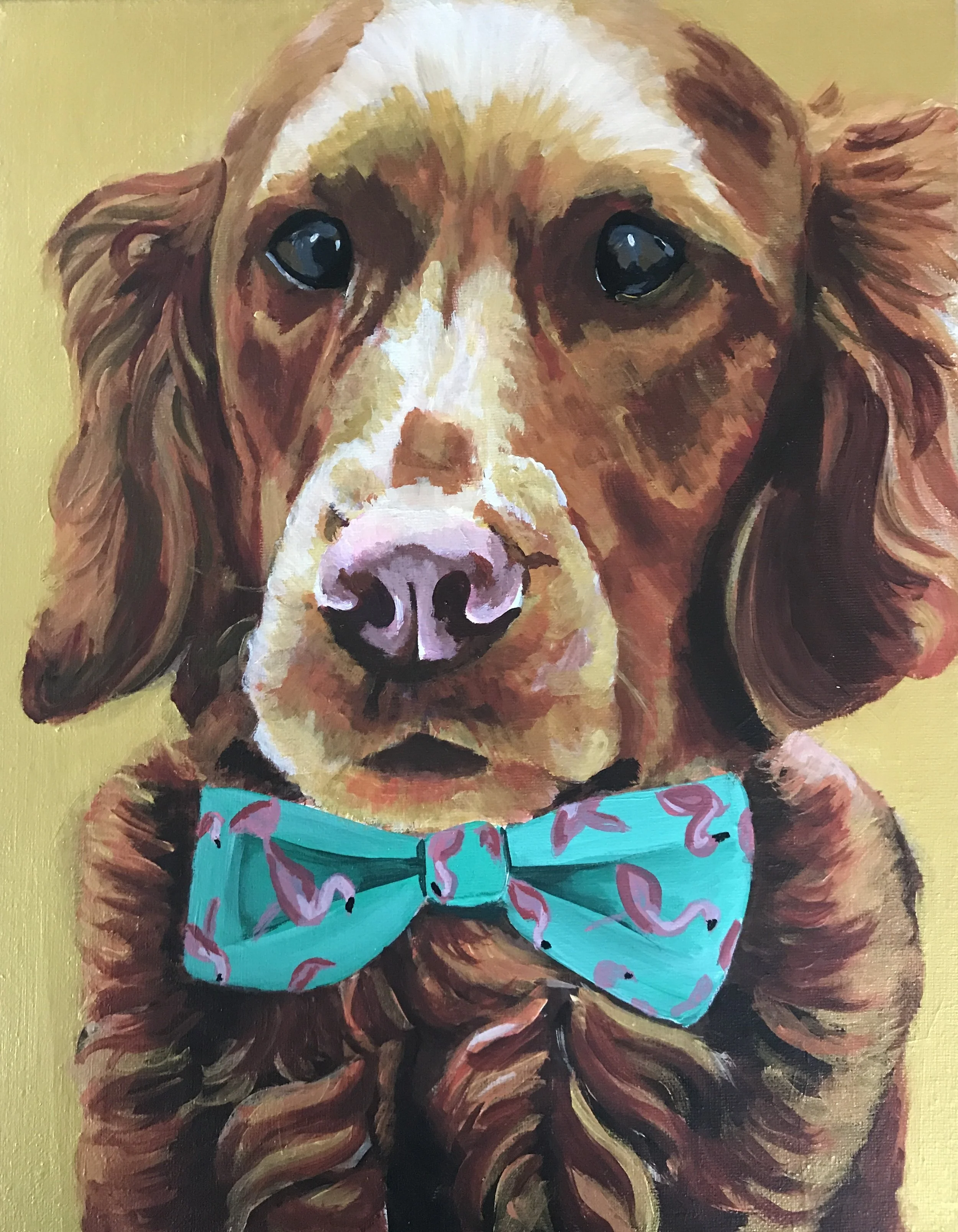 The winner of the first Father"s Day grand instagram giveaway for the most Distinguished Dog. The winner was Gilligan from Canada. Well done Gilligan.
