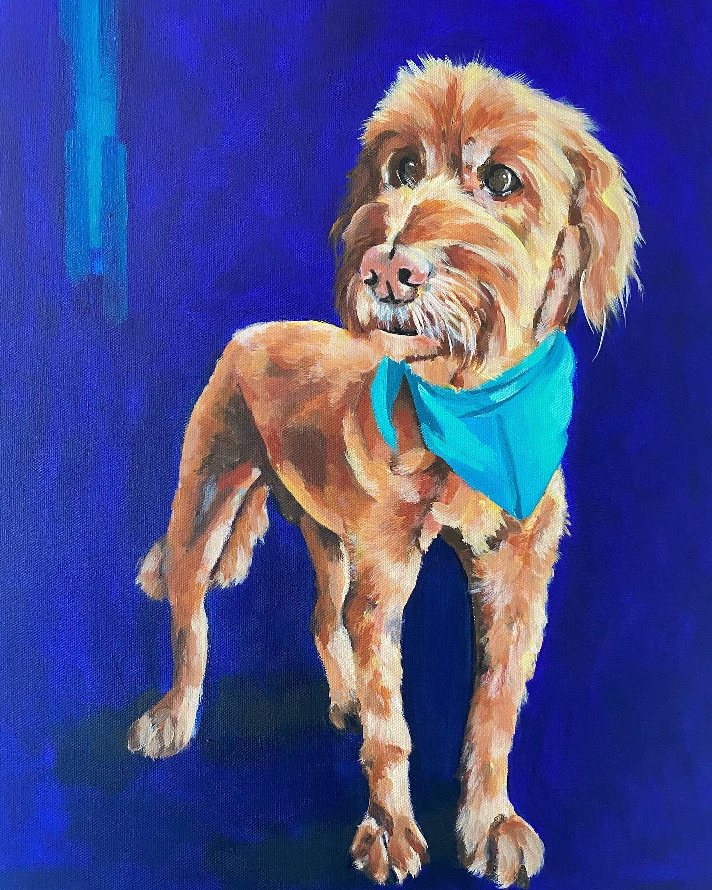 Blaze
Acrylic on canvas
16x20 
I loved using the ultramarine blue for the background. Thought the color brought out Blaze&rsquo;s lovely fur coat.
message me for commissions