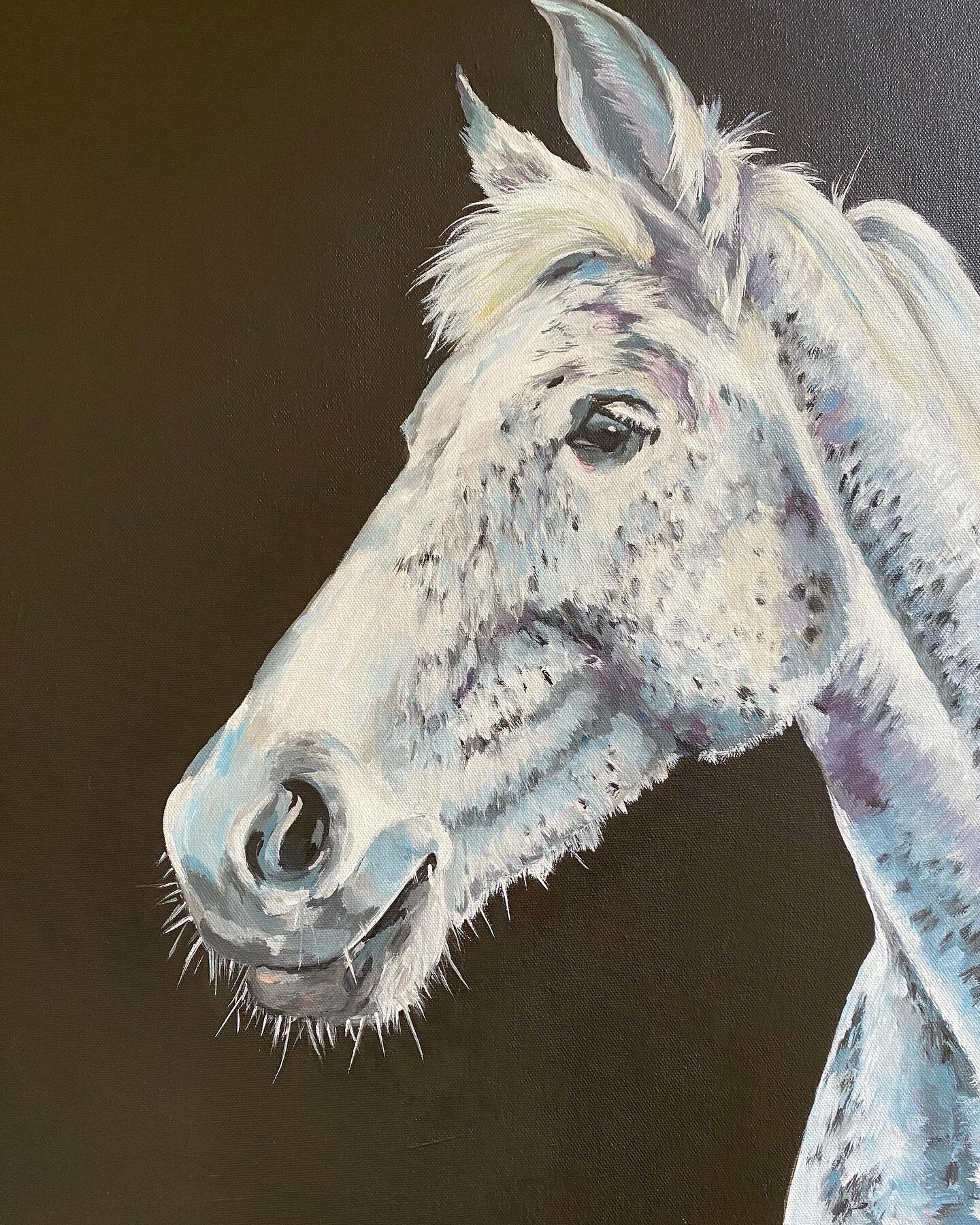 Milla
Acrylic on canvas
16 x 20
I can now share this beautiful creature.  Painted and delivered for a special 60th birthday gift.
Always a pleasure to work closely with clients to ensure they are totally happy with my work and the recipient will have
