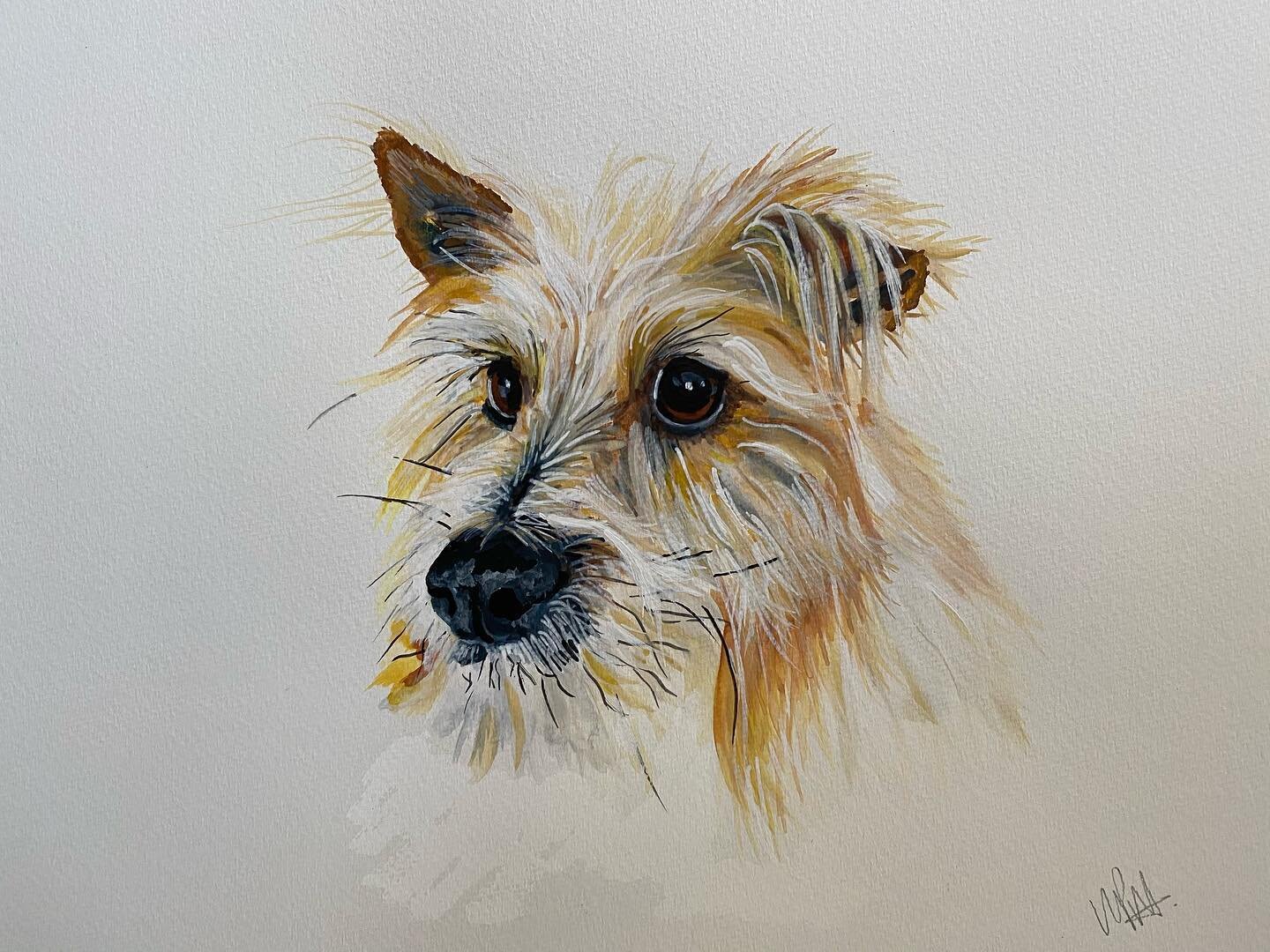 Teddy 
Watercolor on paper 

Commission
I love doing commissions for people I know and of animals that I know and this one was no exception. Teddy is such a sweet rescue dog and the Iove of my friend.