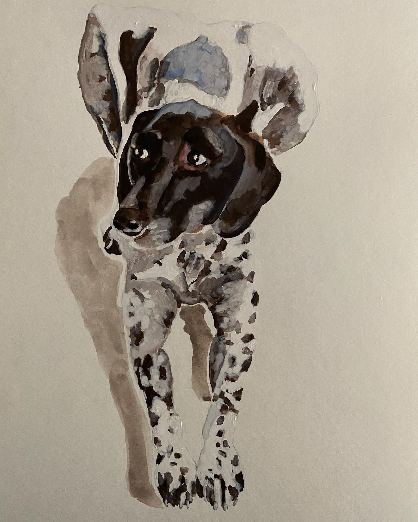 Rocket
Watercolor 9x12

You can commission a portrait just like this one for $60, only until the end of February