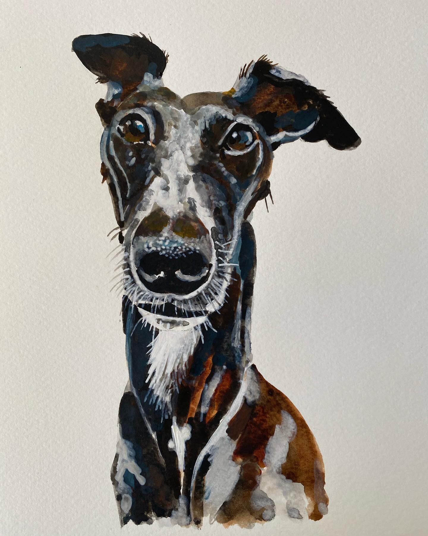 Whippet 
Watercolor 
Passers By Gallery 
$60 to commission a small watercolor like this one - valentines gift anyone??