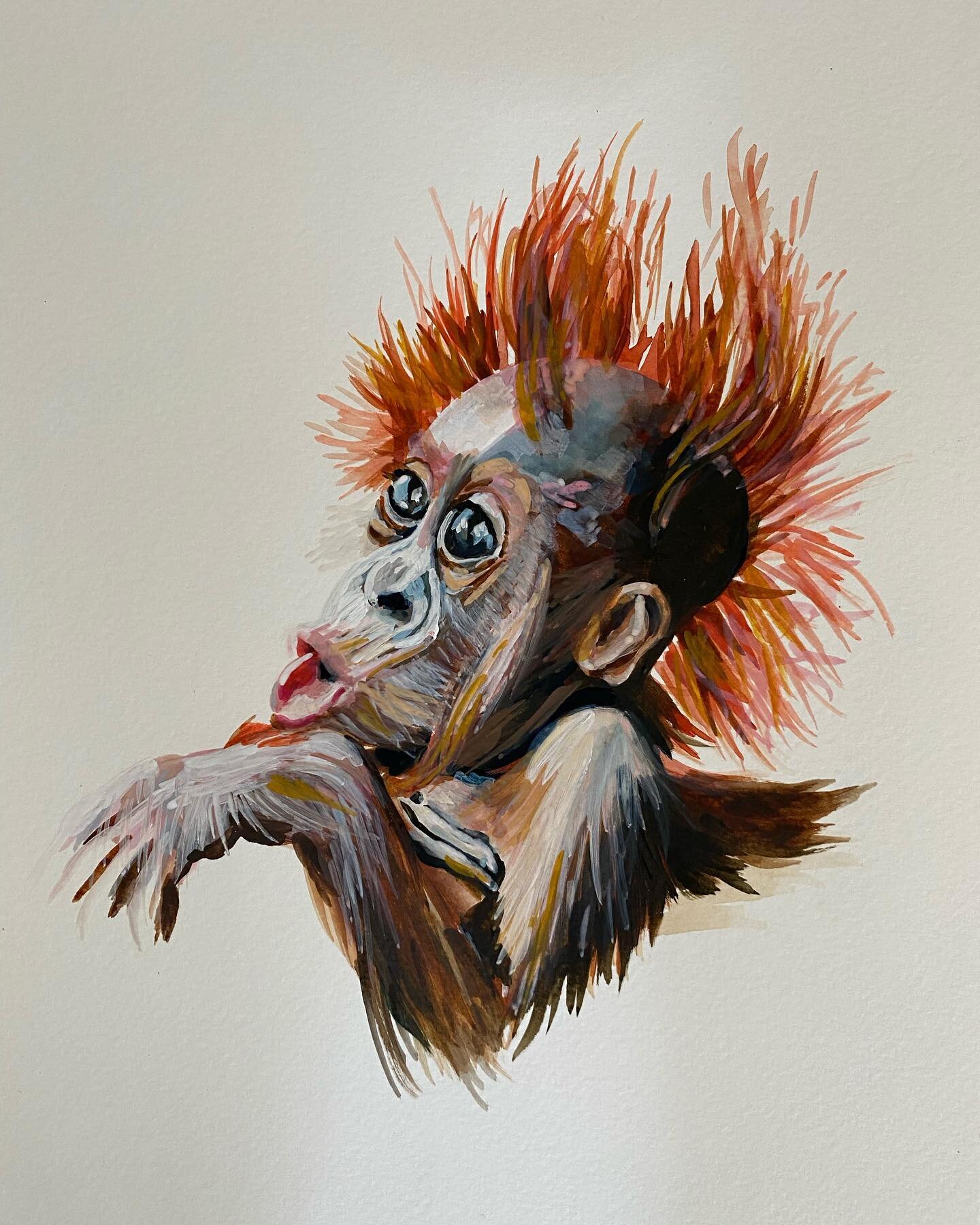 Baby Orangutan 
Watercolor on 9x12 watercolor paper
Commissions welcome

This month I visited the Chicago zoo and watched the primates for AGES! Want to paint them more