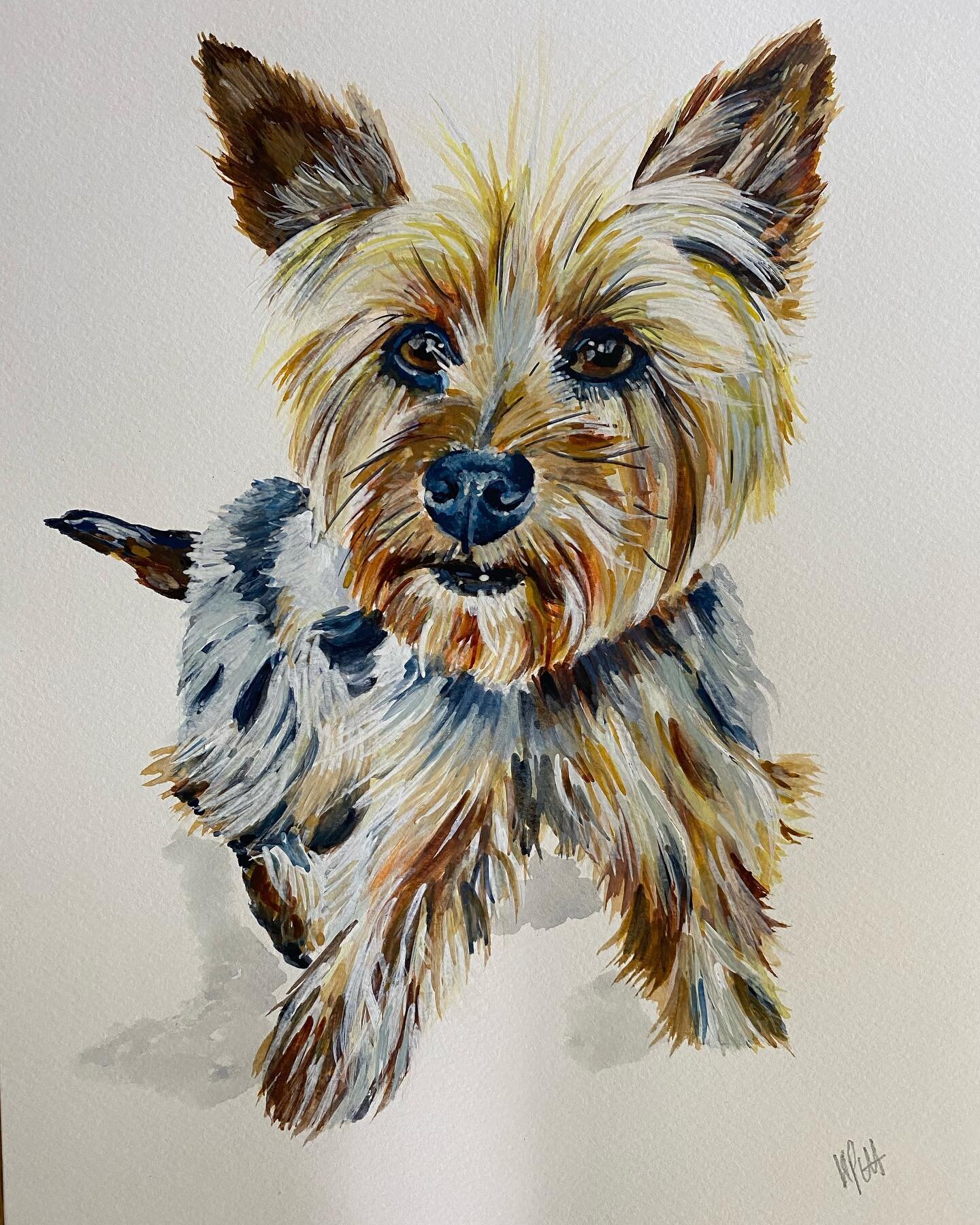 Sadie
Watercolor 
11x15

Hoping this painting is a lovely surprise for it&rsquo;s new owner