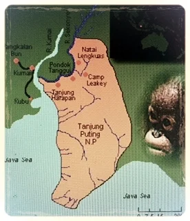 Map of Tanjung Putting National Park, Central Borneo (Kalimantan Tengah)