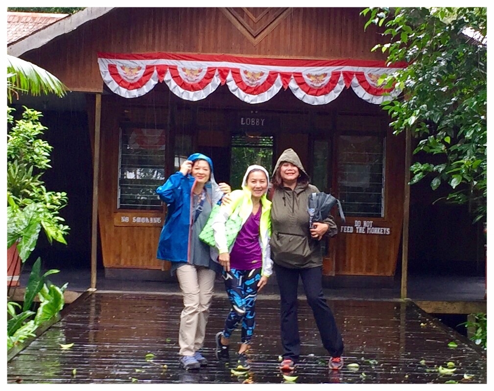  The front entrance of Rimba Ecolodge