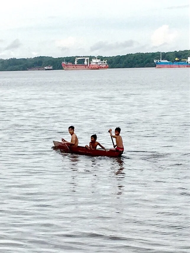 Orang Utans- Pangkalan Bun, Central Borneo (or Kalimantan Tengah)