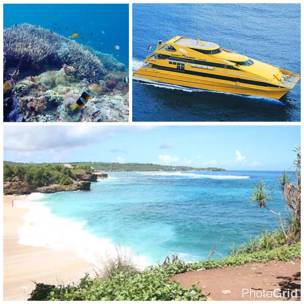 Day-cruise to Nusa Lembongan