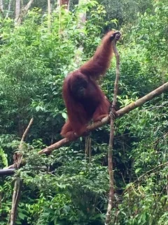 image27.jpeg