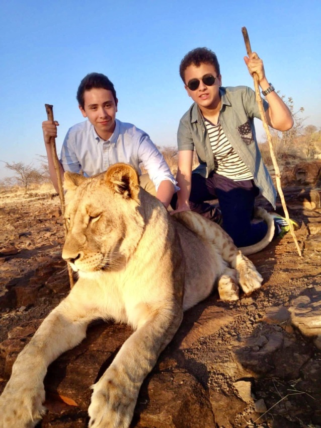 Walking with Lions in Victoria Falls