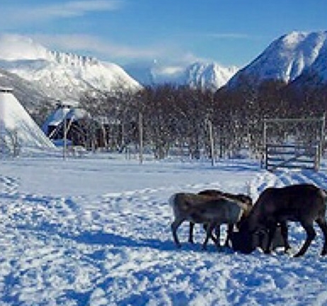 Sami Siida – Markanbaiki