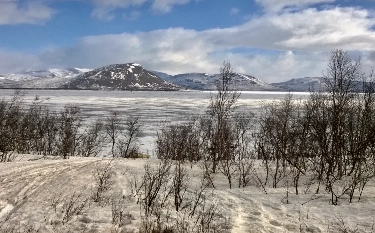 Abisko National Park
