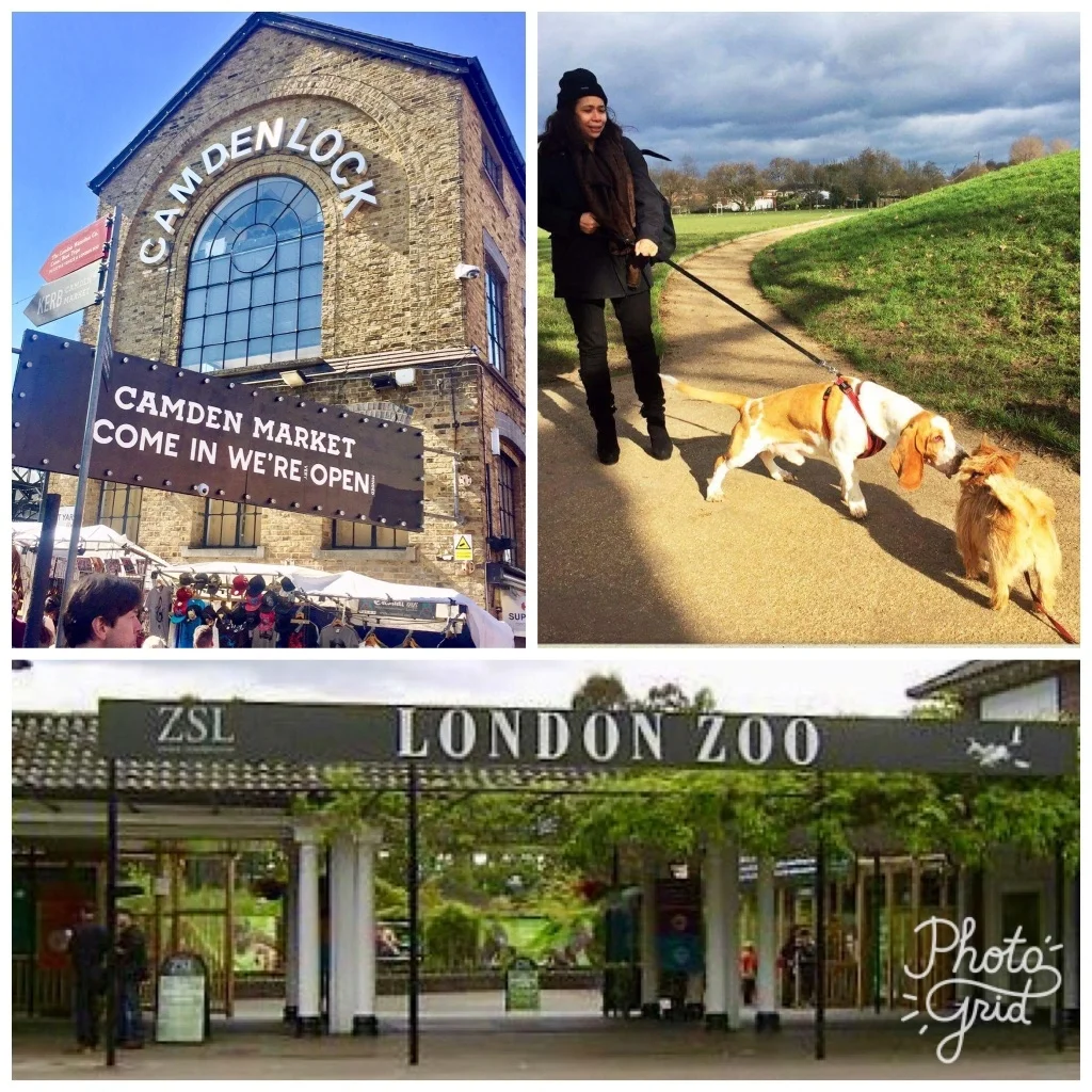 Camden Market, Regents Park and London Zoo