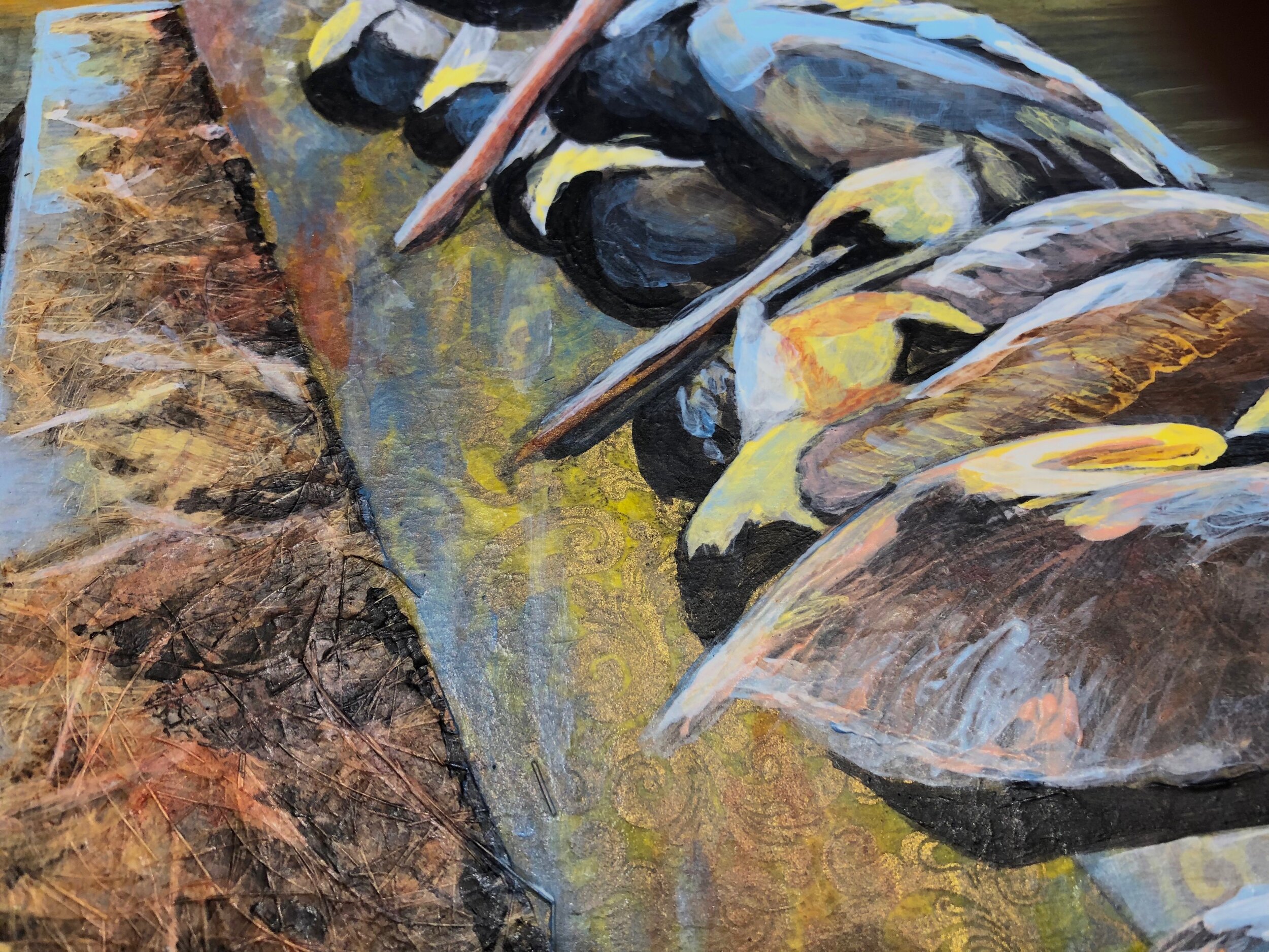 Pelicans, Hilton Head (detail)