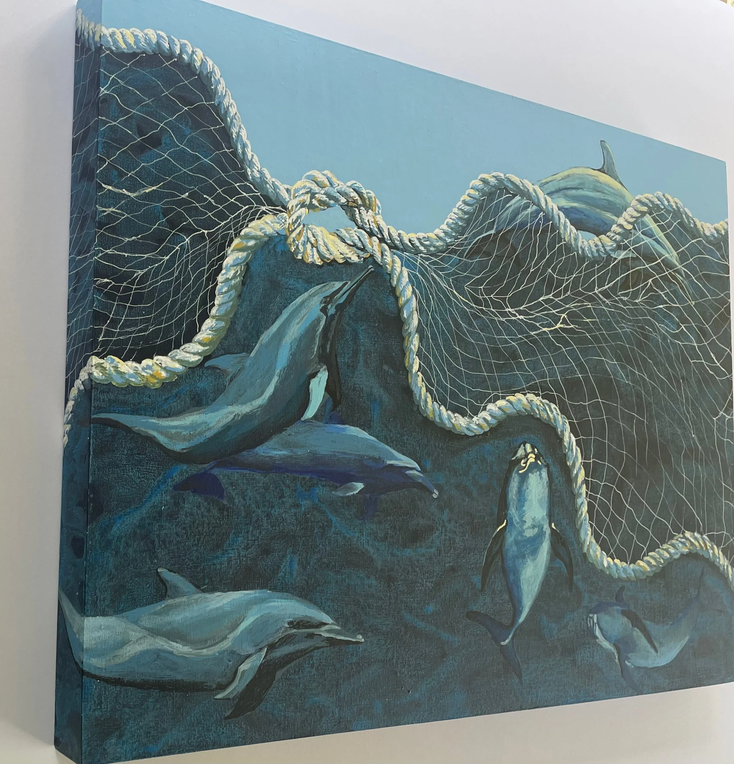 Message from the Dolphins (side view)
