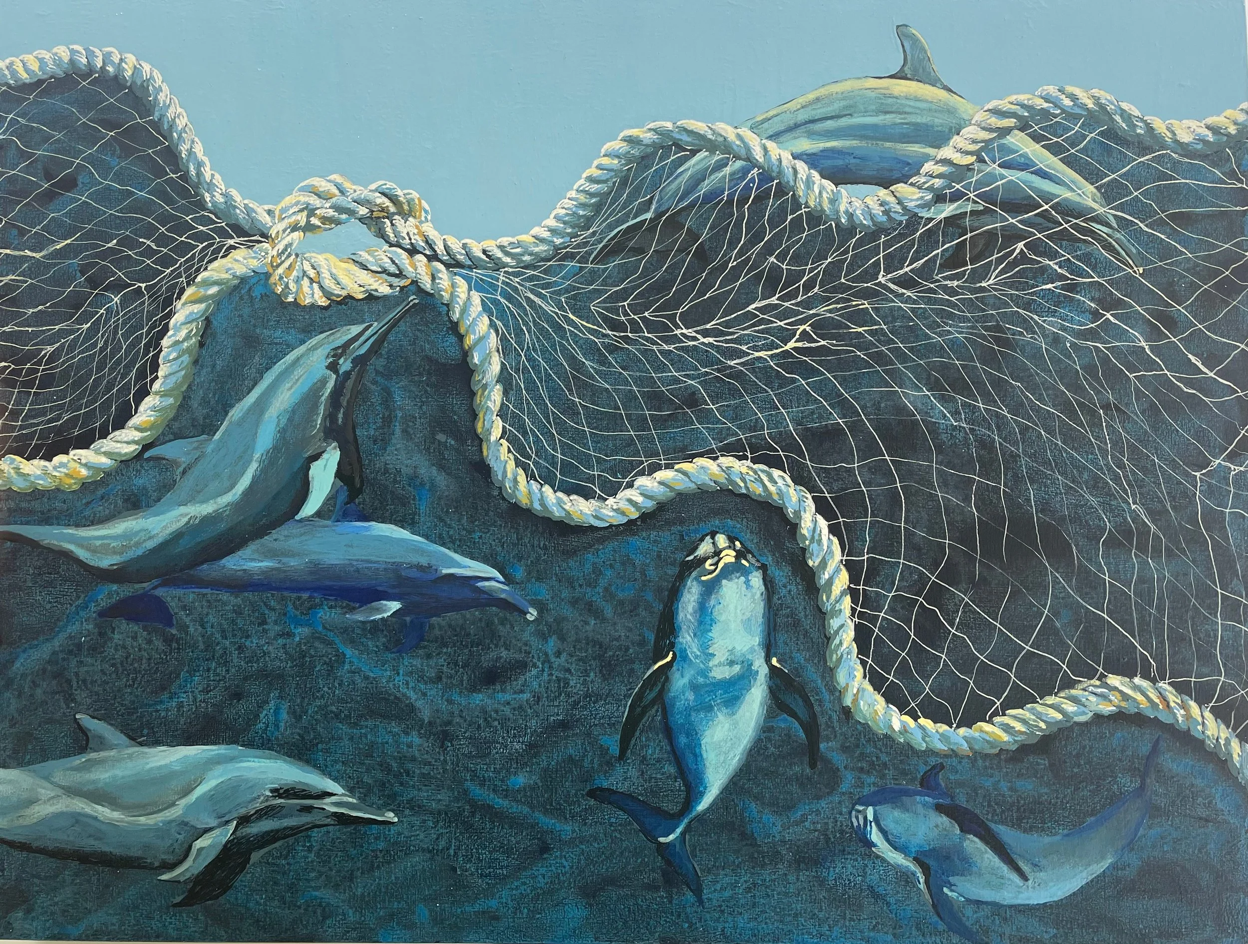 Message from the Dolphins