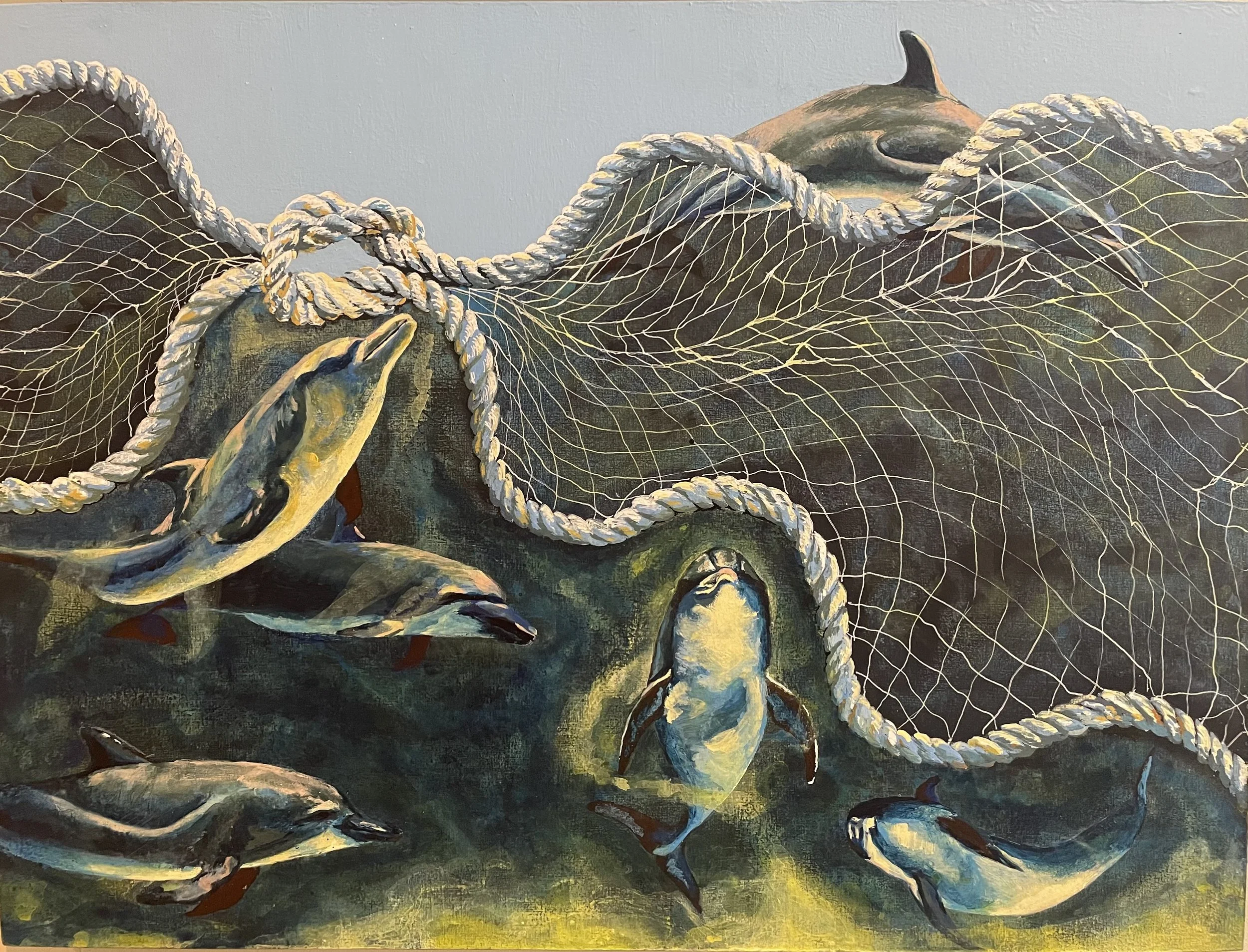 Message from the Dolphins