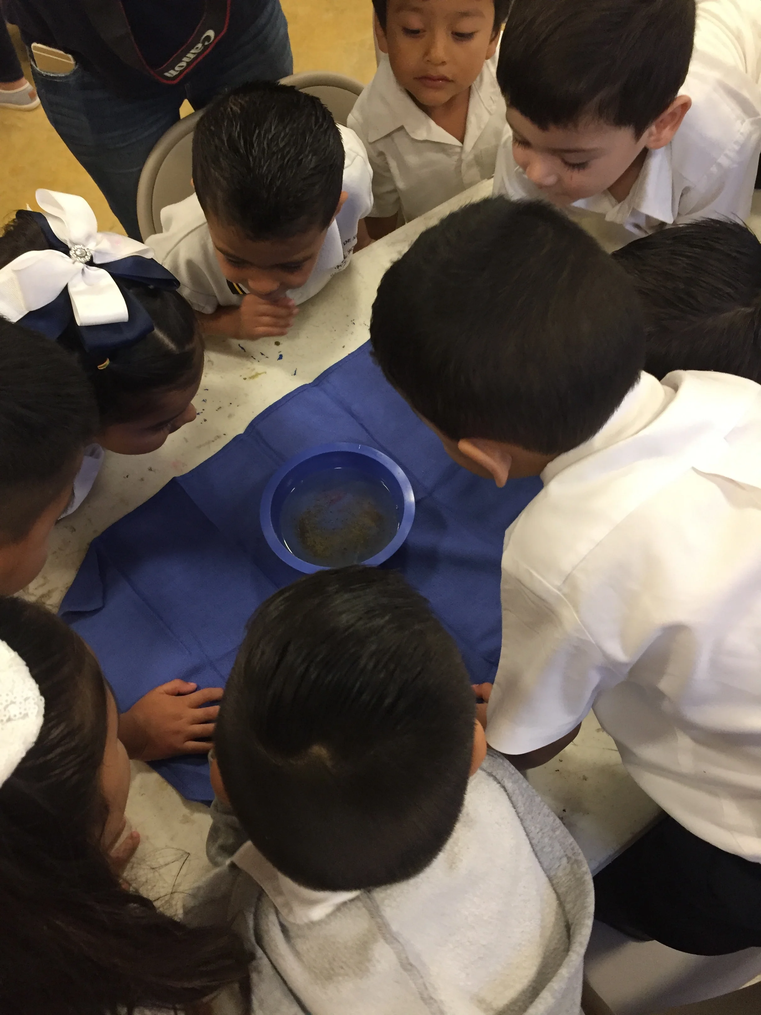  Pepper and water activity to demonstrate the importance of soap in hand washing!  Minds were blown 