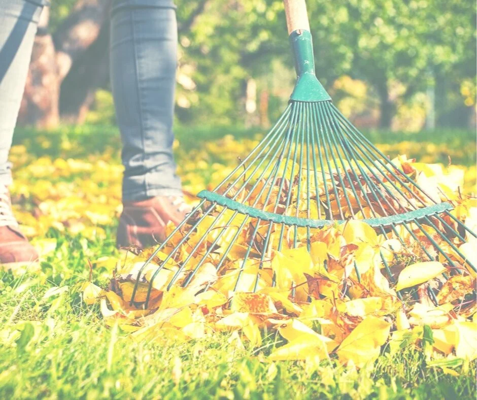 Copy+of+Fall+Maintenance-2.jpg