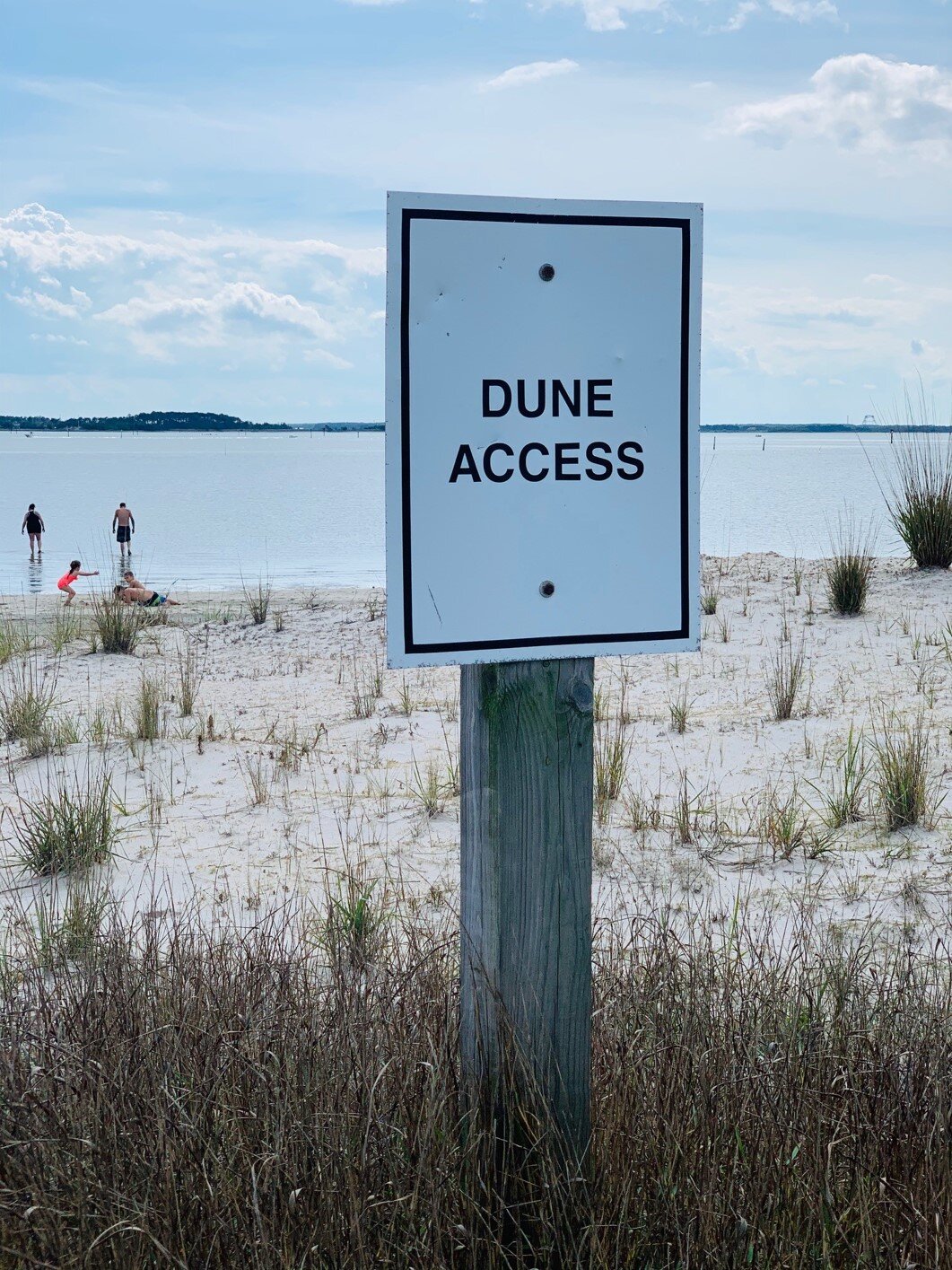 Dune Access.jpeg