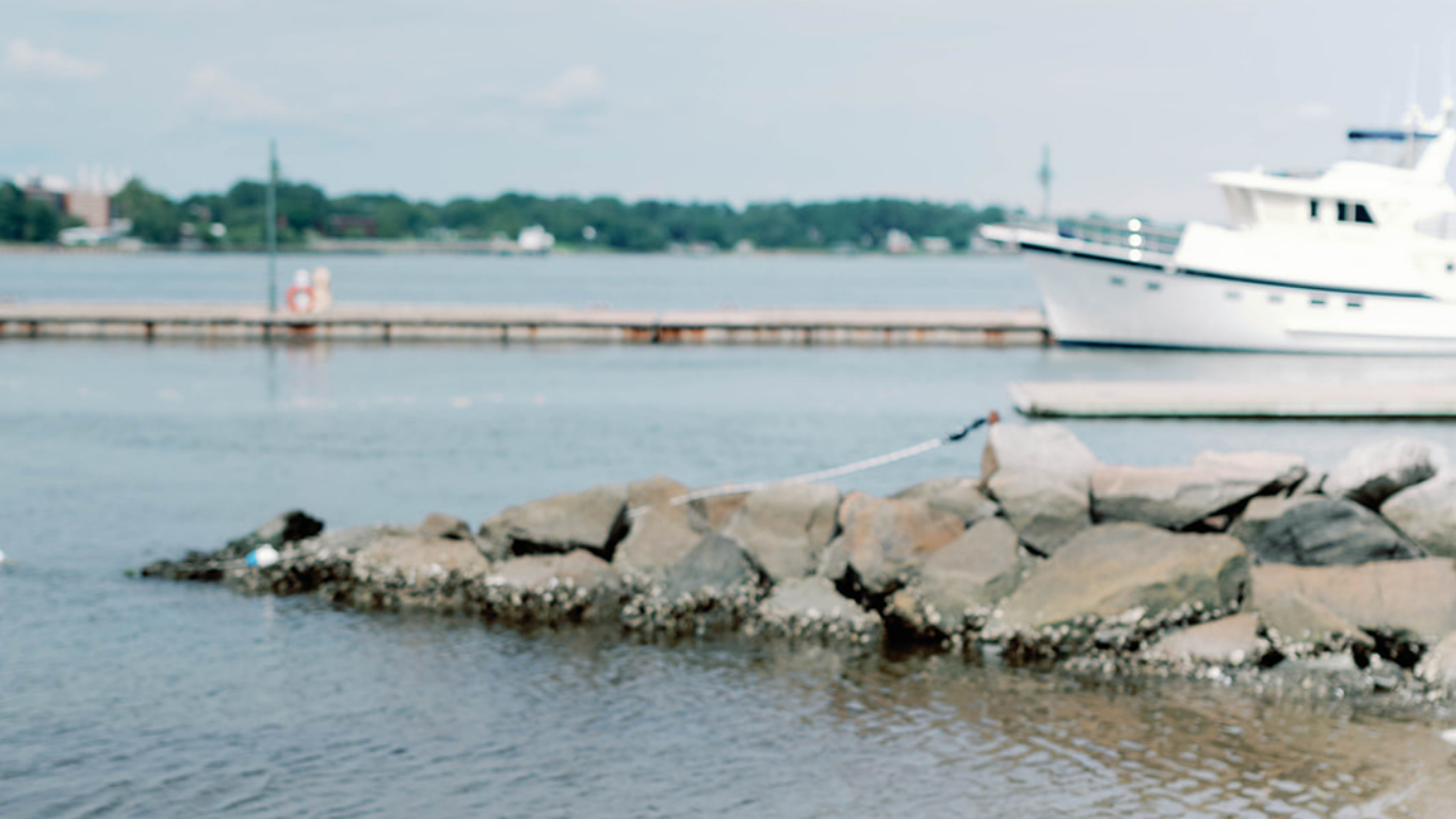 Untitled design (5).png