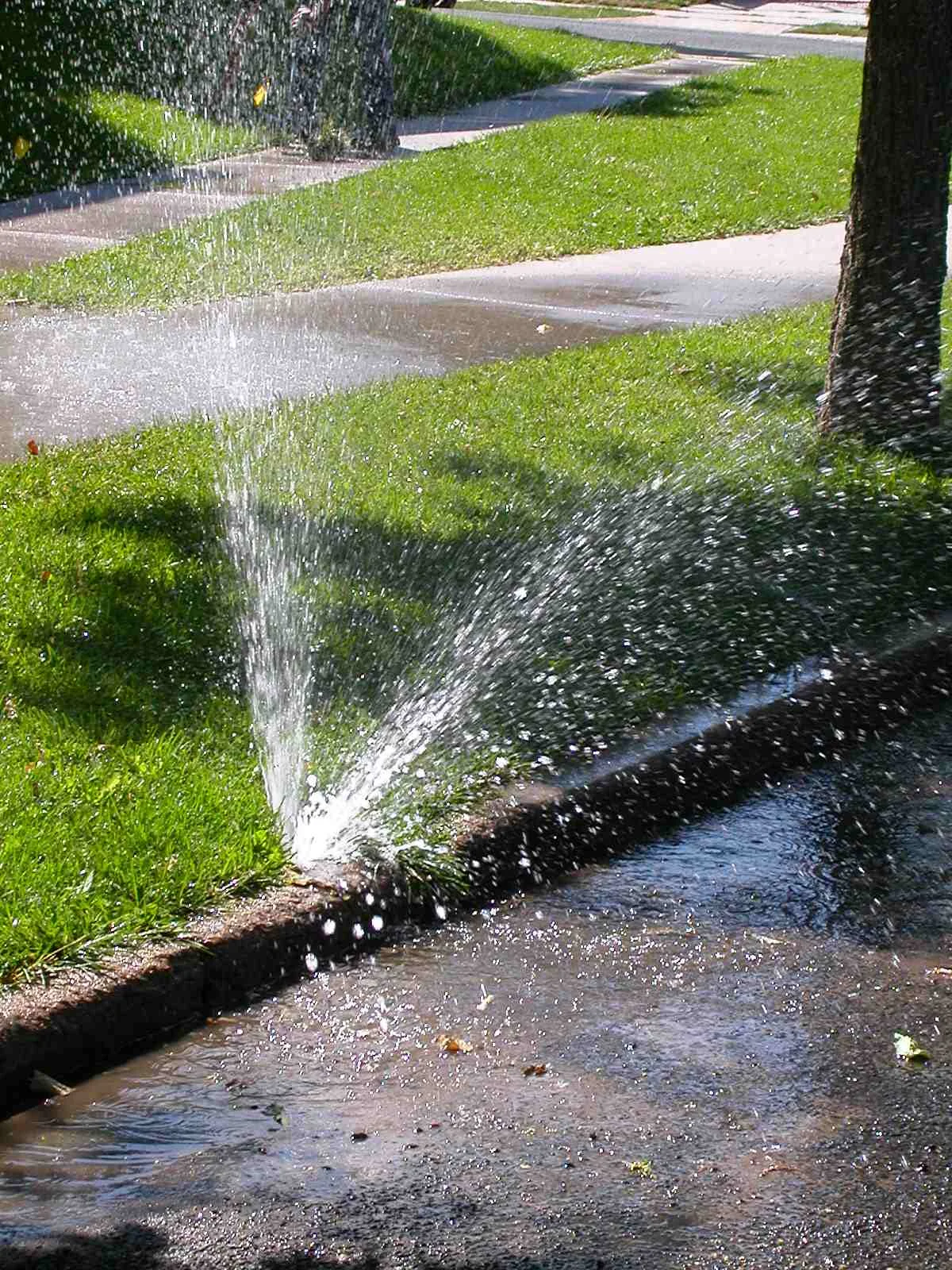 Sidewalk geyser.jpg