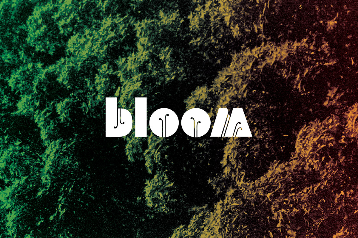 studio-malagon-bloom-festival-01.jpg