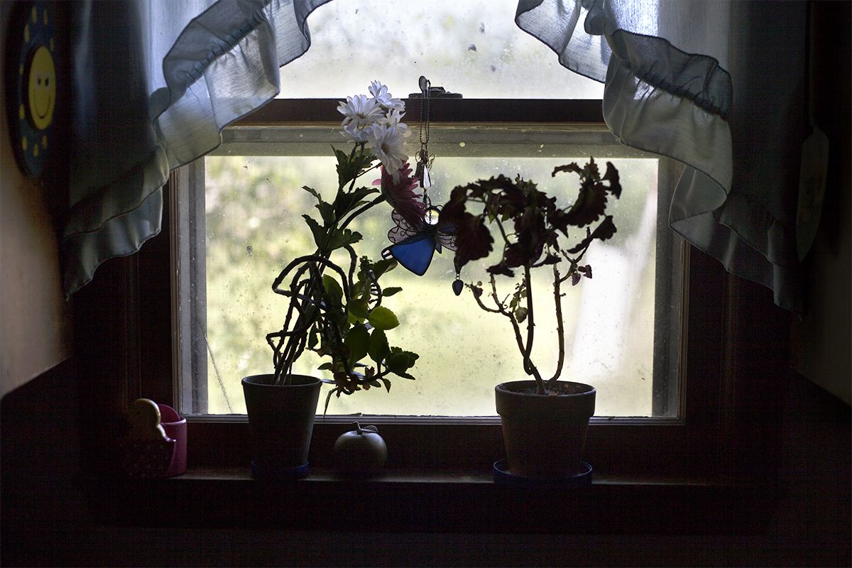 12_KitchenWindow_9152_9157.jpg