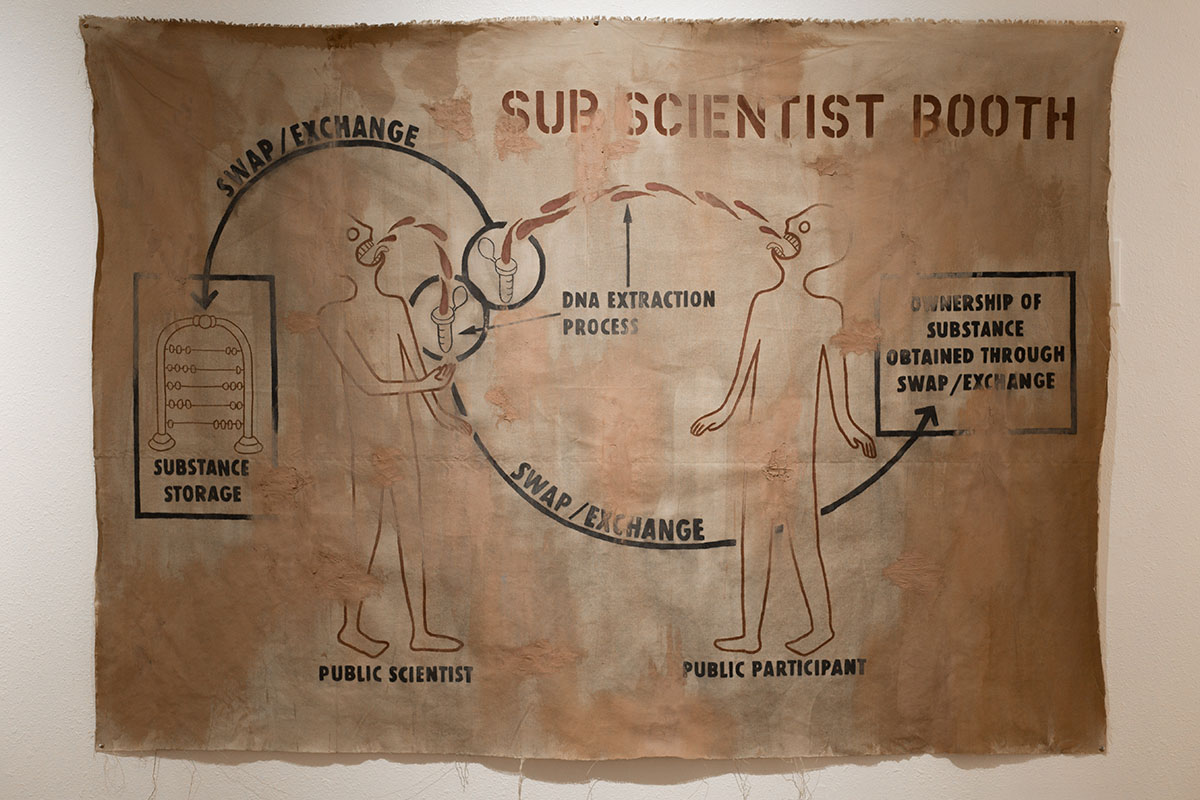 DNA extraction process diagram