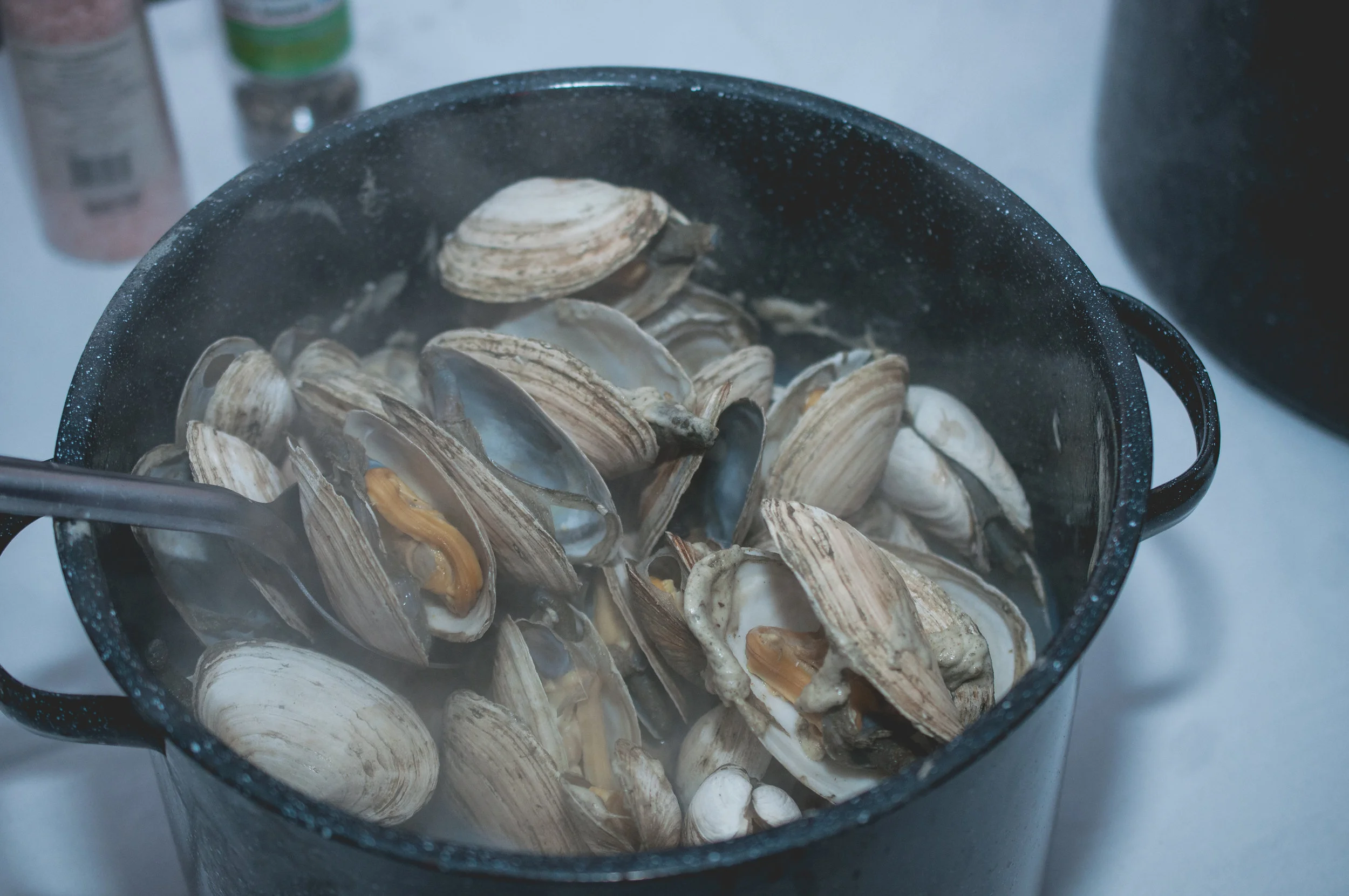 DSC_2593.jpg