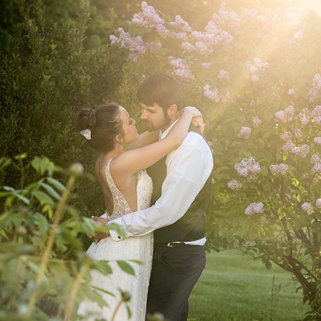 May you always remember this day ❤️
Photography @lostinreveriephotograpy 
Venue @kingshillinnbarn 
Cake @lbtcakes 
Florals @heirloomarrangements 
Dress @dreamsbridalme 
Catering @macsgrillrestaurant 
Decor @bbseventsandrentals 
Makeup @elegance_desig