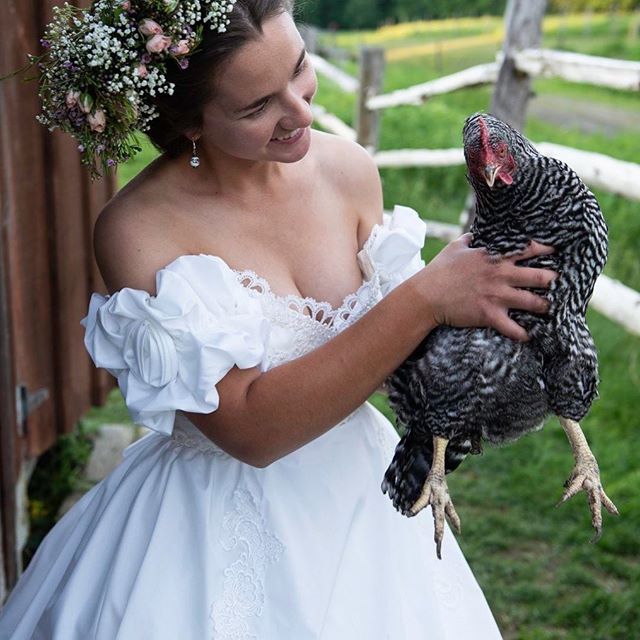 Must love chickens 🐓