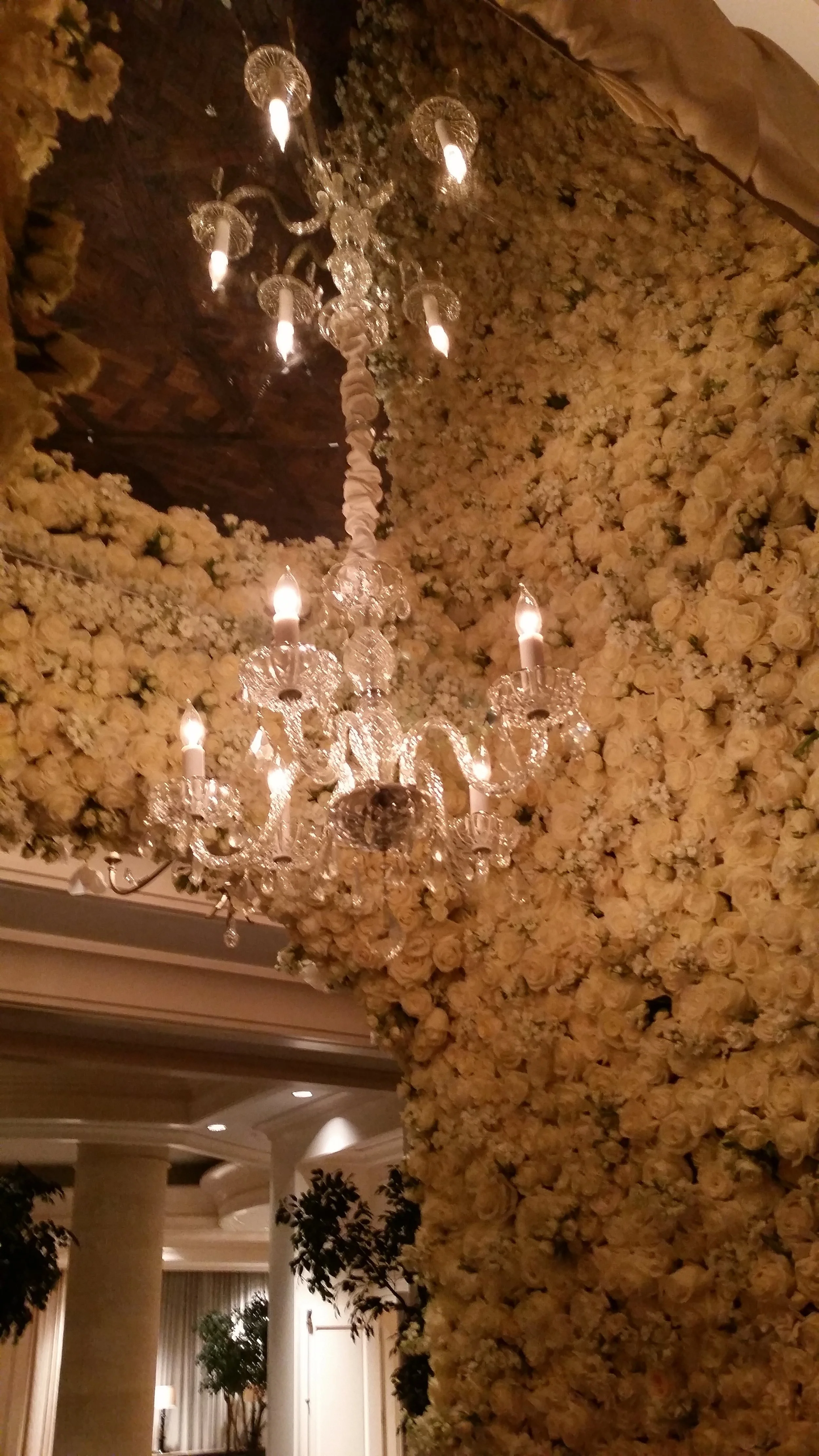 20150927_024219.jpg