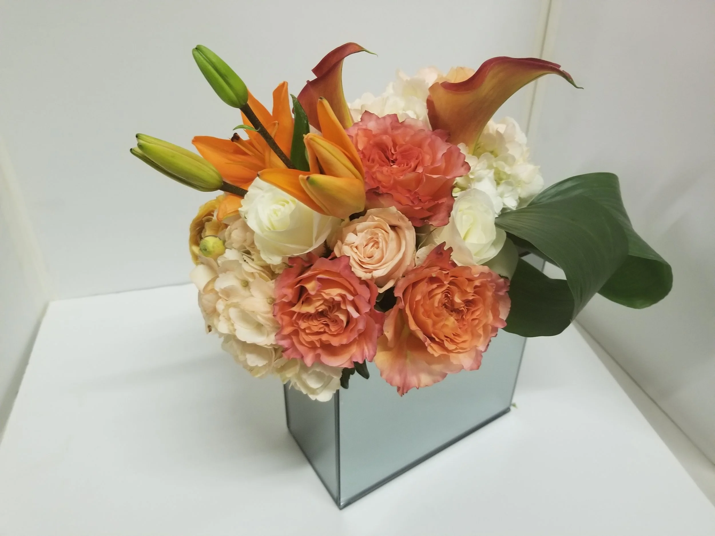 20181020_044055.jpg