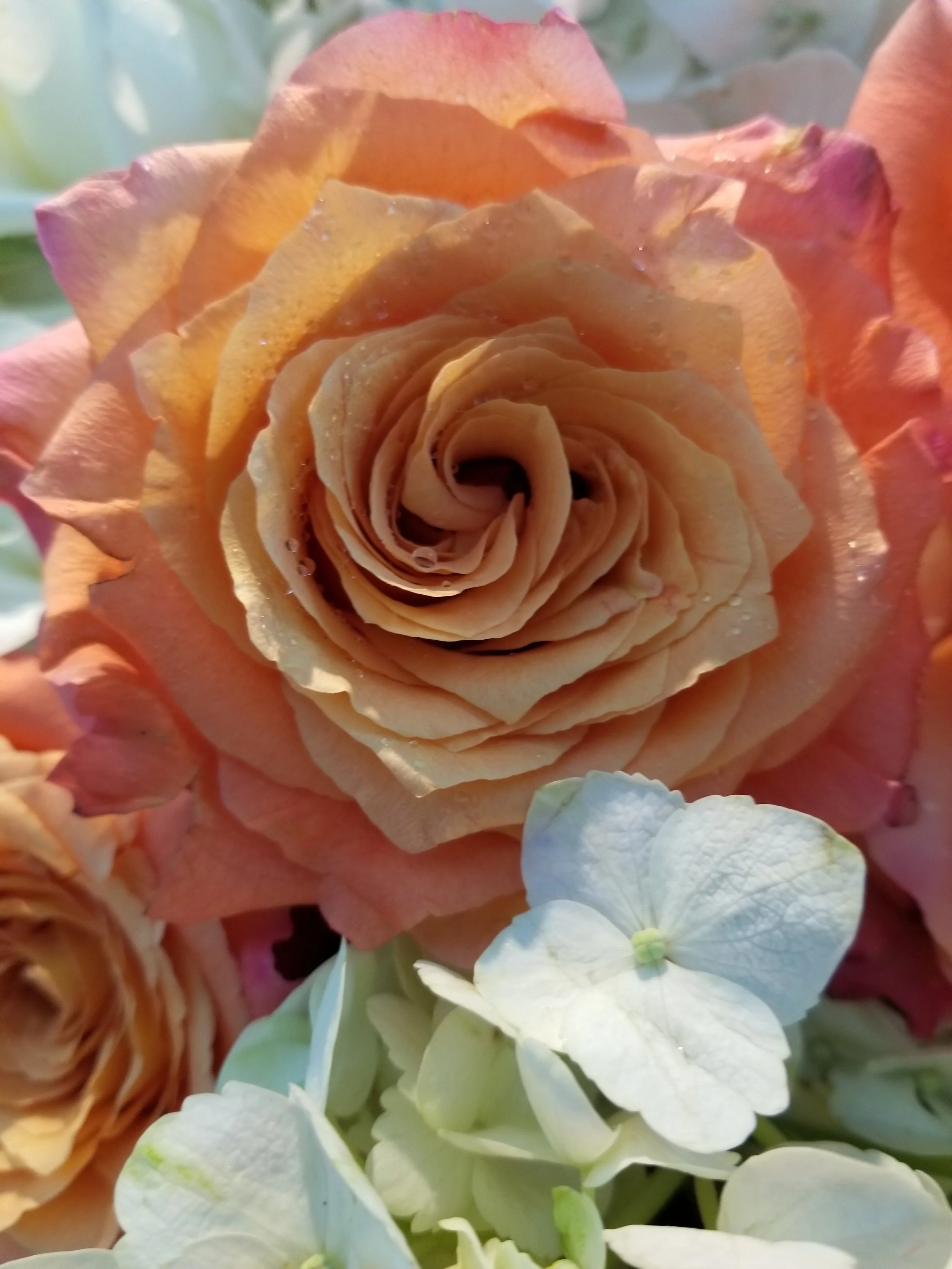 20181020_163045.jpg